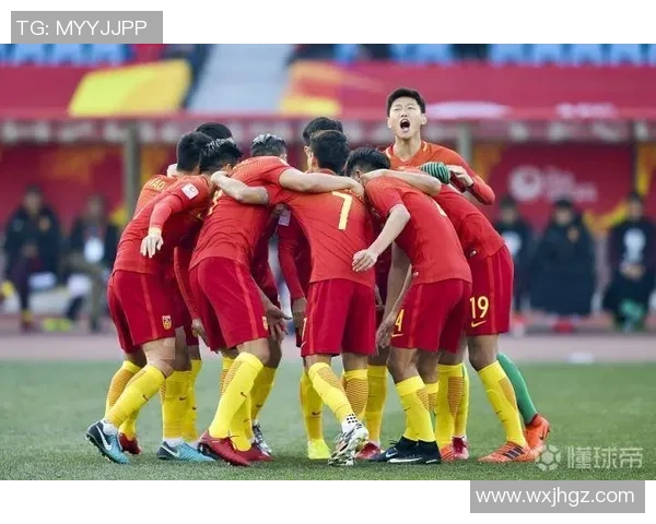 北京排球队进攻策略分析及其在比赛中的得失表现探讨