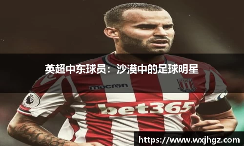英超中东球员：沙漠中的足球明星